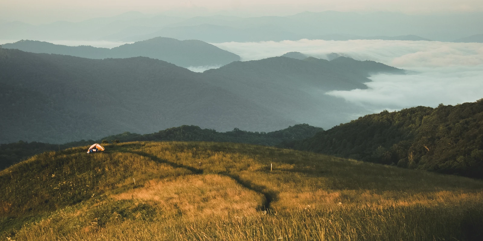 Max Patch: The High-Bald Walk That Still Feels Like the Summit of the South