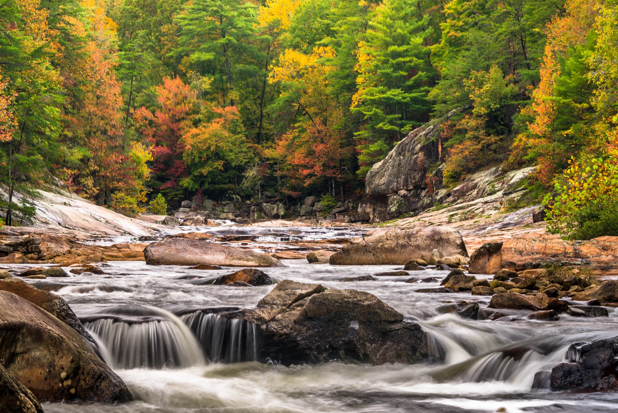 Wilson Creek, North Carolina: Fall Color, Waterfall Hopping, and the Wild Heart of Pisgah
