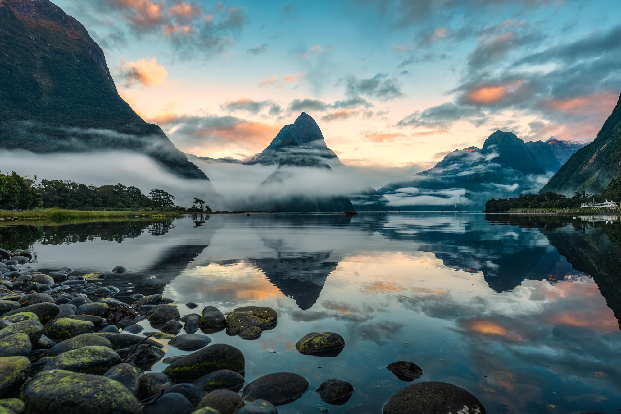 Piopiotahi at First Light: Milford Sound’s Quiet, Thunderous Pull
